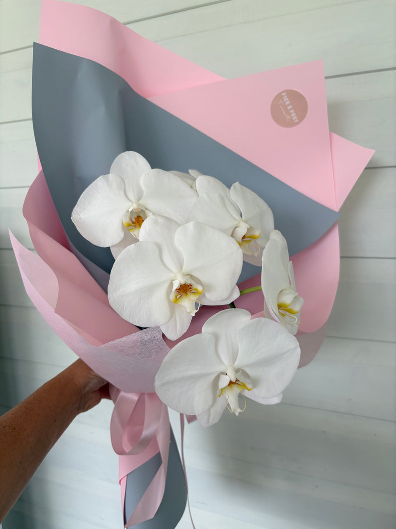 Orchid Special